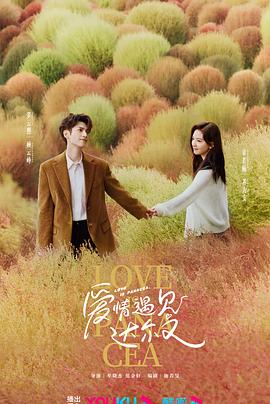 仙桃本地网站优化公司